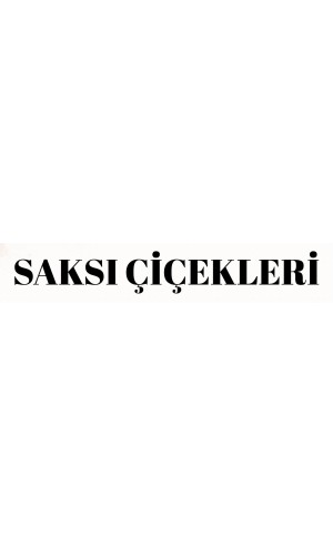 Saksı Çiçekleri